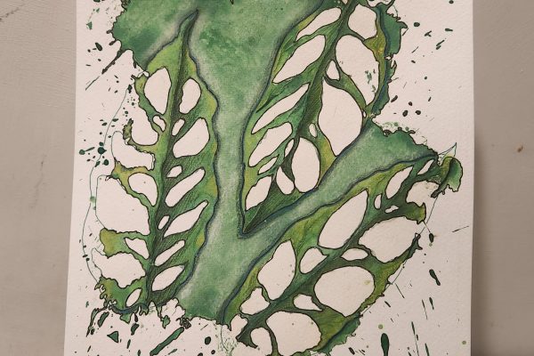 Monstera Adansonii – Painting