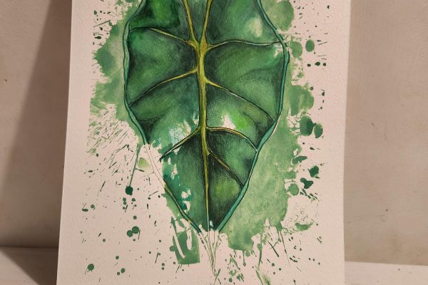 Alocasia – Painting