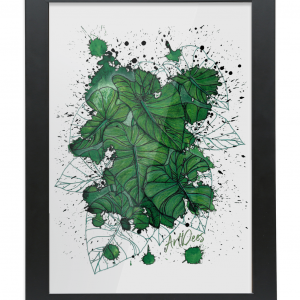 ArtDees Taro Colocasia – Framed A4 Fine Art Print - Portrait/Black